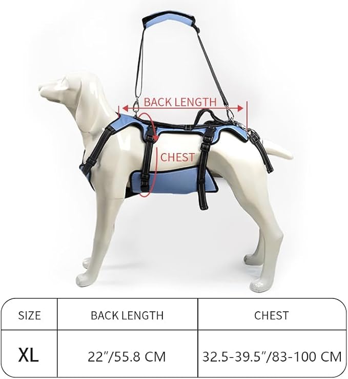 Arnés de elevación para perros Coodeo, soporte completo del cuerpo y correa de recuperación, chaleco de elevación para rehabilitación de mascotas para perros mayores con artritis para caminar (Azul)