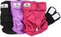 Pañales lavables para perros Pet Parents® (paquete de 3) + extensores® de pañales duraderos para perros, pañales premium para perras (medianos, princesa)