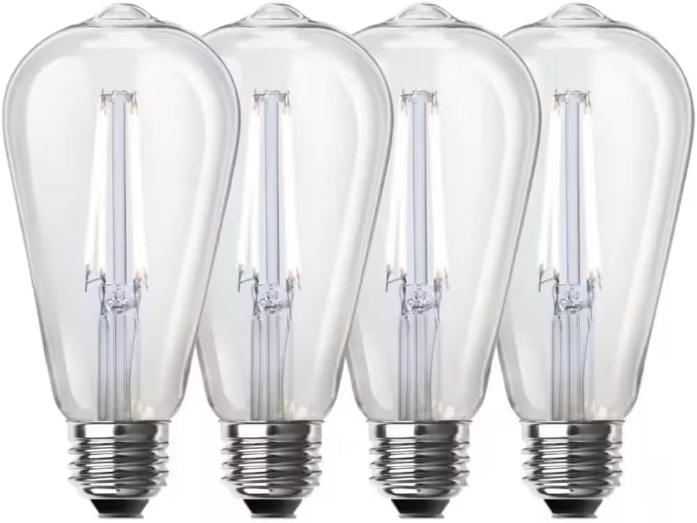 Feit Electric 60-Watt Equivalent ST19 Dimmable Straight Filament Clear Glass E26 Vintage Edison LED Light Bulb, Daylight 5000K - 4 Pack