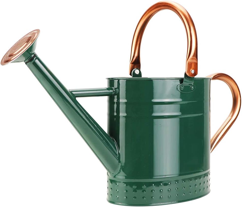Regadera metálica Megawodar de 1 galón con boquilla extraíble, bonita regadera de acero galvanizado con diseño en relieve para plantas de interior y exterior.
