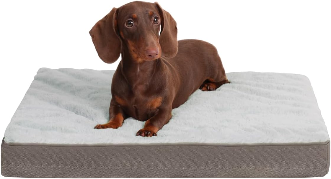 KSIIA Cama ortopédica para perros pequeños con forro impermeable, gris