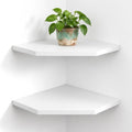 WELLAND Juego de 2 estantes flotantes de esquina de 30 cm (12 pulgadas), estante de almacenamiento de pared con acabado blanco para dormitorio, sala de estar, baño, estante de exhibición para plantas pequeñas, marcos de fotos, juguetes y más.