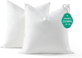Rellenos de Almohada de Plumón APSMILE 20x20 | Set de 2 con Funda de Algodón Orgánico | Cojines Decorativos Cuadrados y Suaves para Sofá y Cama | Blanco