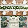 Dolicer 4Pcs 26Ft Artificial Eucalyptus Garlands with Flowers - 8 Roses, Faux Floral Greenery Garlands Fake Flowers Vines for Wedding Table Centerpieces Arch Party Ceremony Backdrop Decor (White)