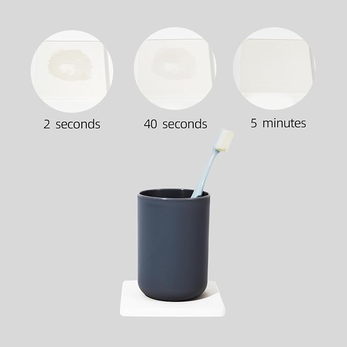 6 posavasos de diatomita absorbentes de agua, tierra de diatomeas para cocina, jabonera, bandejas de baño, bandeja de piedra absorbente de agua para fregadero, utilizado para jabones de manos, bebidas, botella