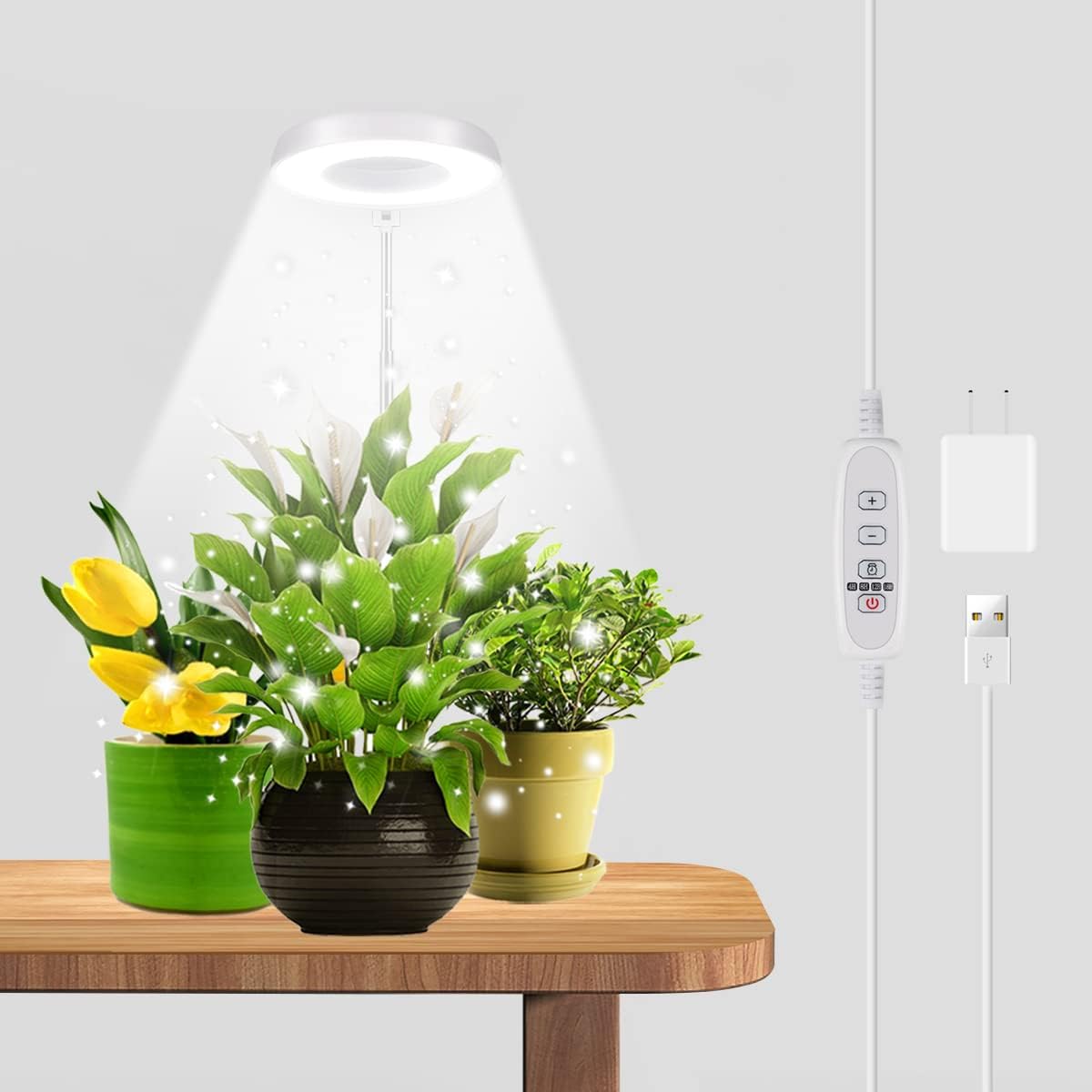 Lámpara de Crecimiento GYTF Halo LED 6000K — Espectro Completo, Regulable, Timer 4/8/12/18h, Para Plantas de Interior