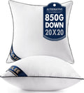 Almohadas Decorativas MIULEE 20x20 Pulgadas | Relleno de Microfibra | Juego de 2 | Para Sofá Cama Sala | 2 Unidades