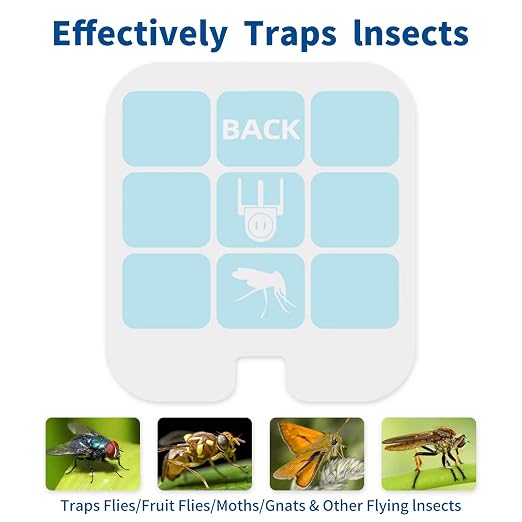 24 Tarjetas Adhesivas de Repuesto para Trampa Safer Home SH502 / DT3005W
