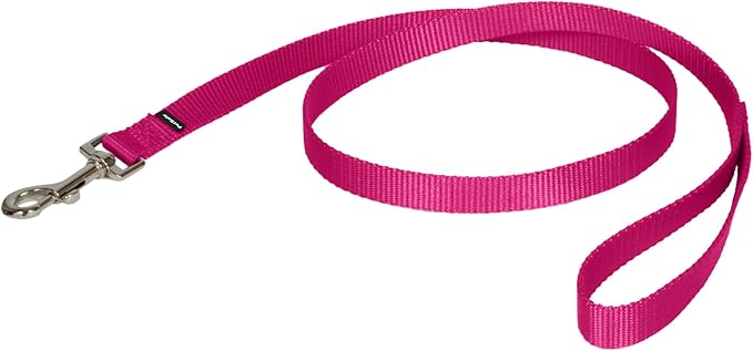 Correa de nailon PetSafe - Nailon resistente para paseos diarios - Correa para mascotas duradera con clip de fijación rápida - Agarre suave y cómodo - 4 pies - Rosa frambuesa