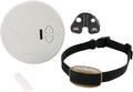 Barrera Inalámbrica PetSafe Pawz Away para Perros y Gatos - Sistema de Entrenamiento con Collar Receptor, Cubre Radio de 6 Pies, Uso en Interiores