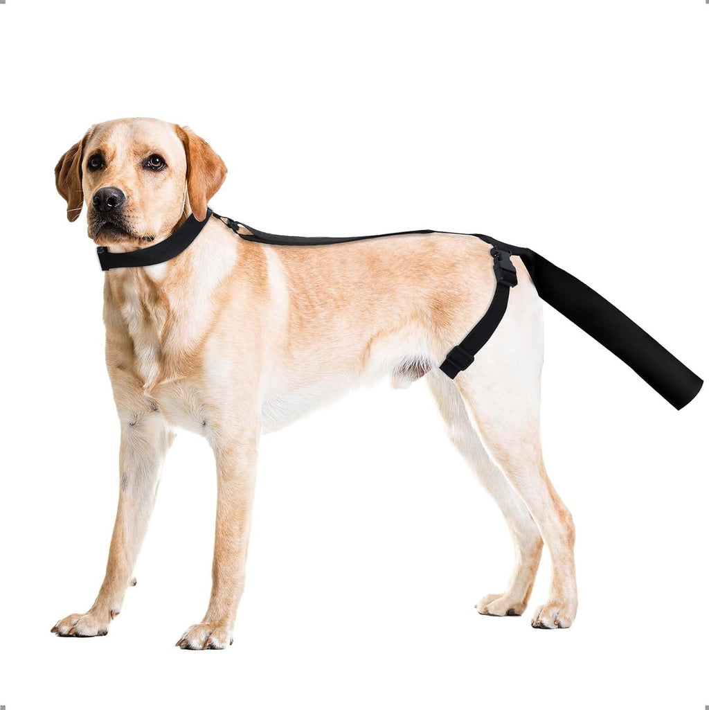 Protector de Cola Ajustable OHCOZZY para Heridas, Manga de Cubierta de Cola de Recuperación para Perros Medianos y Grandes, Antilamido (M, Negro)
