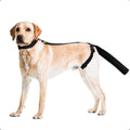 Protector de Cola Ajustable OHCOZZY para Heridas, Manga de Cubierta de Cola de Recuperación para Perros Medianos y Grandes, Antilamido (M, Negro)