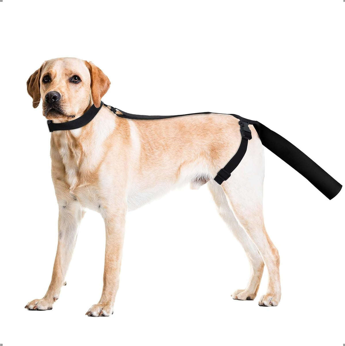 Protector de Cola Ajustable OHCOZZY para Heridas, Manga de Cubierta de Cola de Recuperación para Perros Medianos y Grandes, Antilamido (M, Negro)