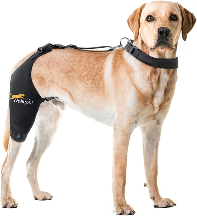 Rodillera para Perro Talla L | Soporte Ligamento Cruzado Anterior con Compresa Fría/Caliente (Pierna Derecha)