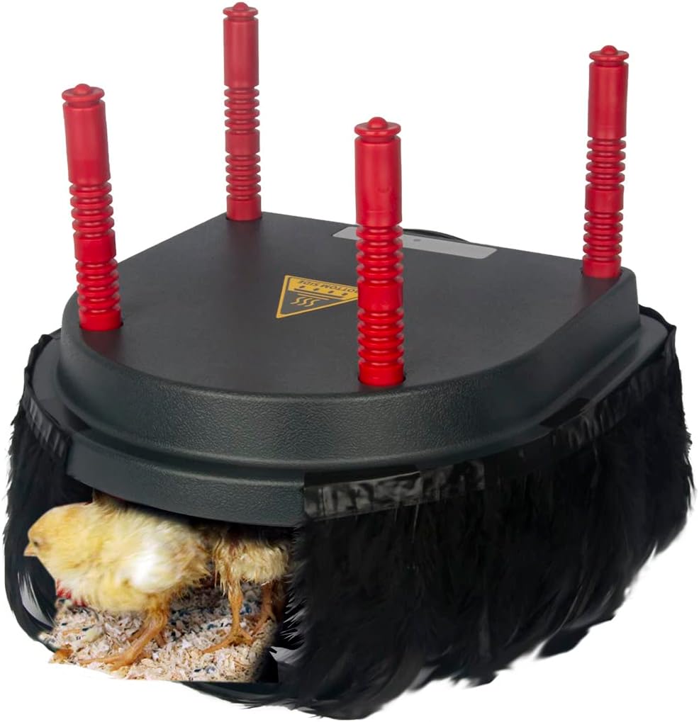 Hantop Placa Calefactora para Pollitos con Plumas de Confort | Calentador Ajustable para Gallinero, Incubadora, Calienta hasta 15 Pollitos 13W (10x10 pulgadas)
