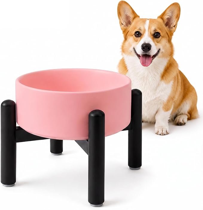 Comedero elevado de cerámica para perros - Comedero alto con soporte de acero inoxidable
