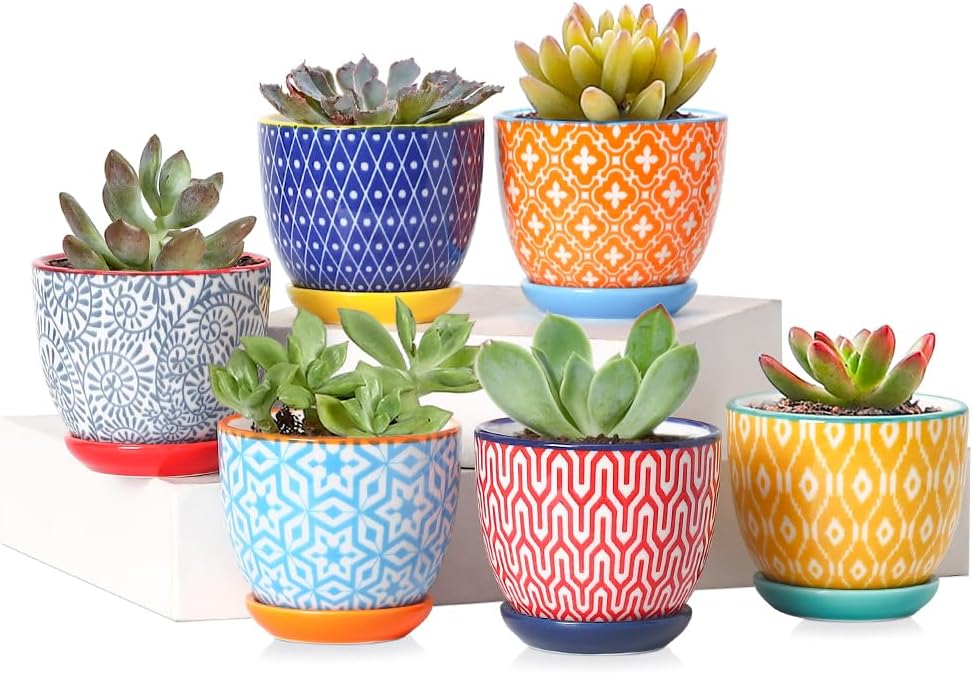 Macetas de Cerámica Selamica 6 cm para Suculentas y Cactus – Juego de 6 Colores Surtidos