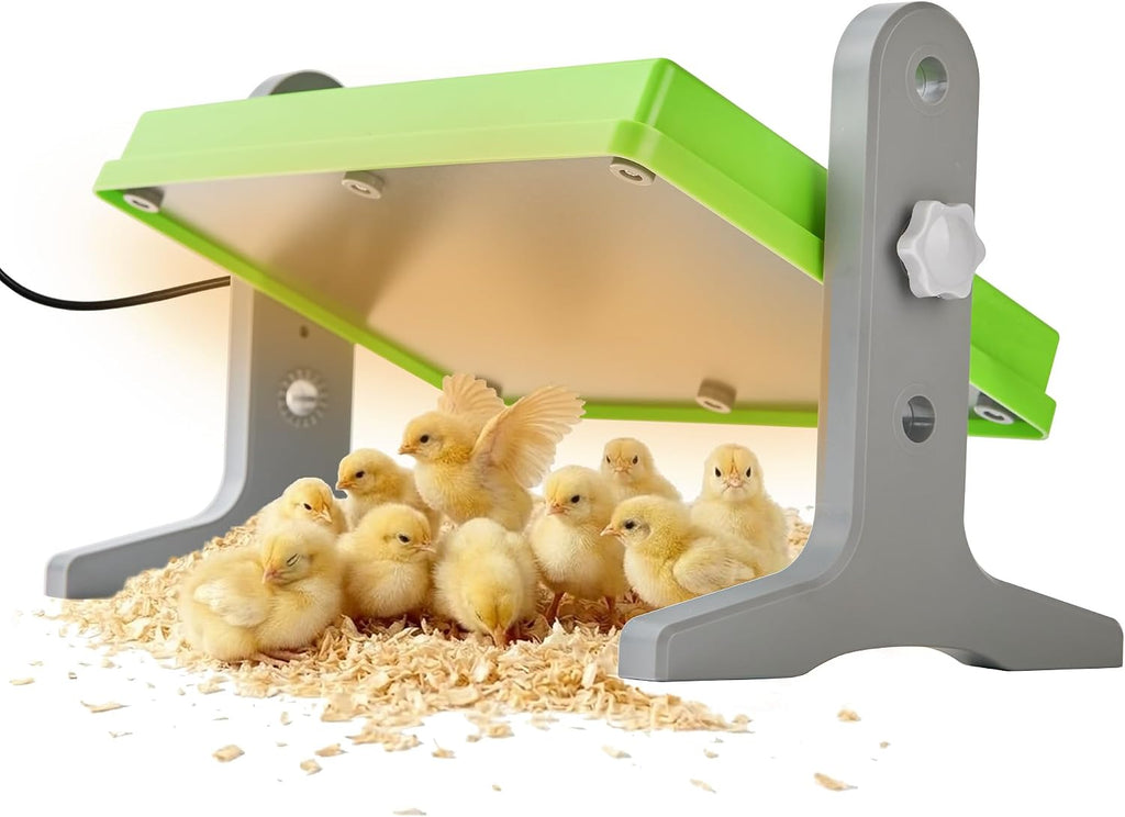 USADO-Placa Calefactora para Pollitos Fuzzy Bird 30x20cm | Criadora Ajustable en Altura y Temperatura para Pollos Patos Aves Verde
