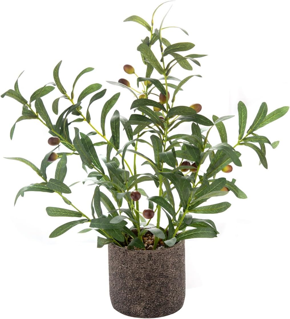 AlphaAcc Ramas de olivo artificiales de 45 cm (18 pulgadas) Planta en maceta de aspecto realista Olivo artificial con hojas y frutos realistas en maceta rústica de cemento negro Planta de follaje artificial para decoración de interiores y exteriores