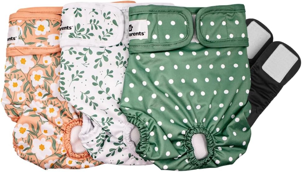 Pañales lavables para perros Pet Parents® (paquete de 3) + Extensores® de pañales duraderos para perros, pañales premium para perras (pequeño, Daisy)