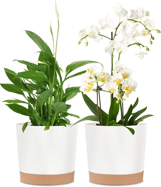 Paquete de 2 macetas de 8 pulgadas para plantas de interior, macetas de plástico para interiores con platillo de drenaje para jardín al aire libre, plantas de hogar, color blanco, 8 pulgadas