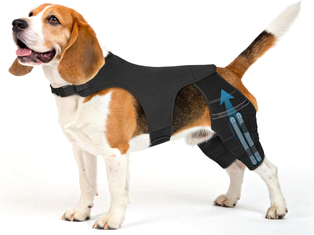 Pawfun Dog Knee Brace for Hind Leg – Adjustable Dog Rear Leg Support Brace with 4 Metal Stabilizers, Helps with Torn CCL, Luxating Patella, Ligament Injuries, Hip Dysplasia,M