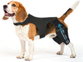 Pawfun Dog Knee Brace for Hind Leg – Adjustable Dog Rear Leg Support Brace with 4 Metal Stabilizers, Helps with Torn CCL, Luxating Patella, Ligament Injuries, Hip Dysplasia,M