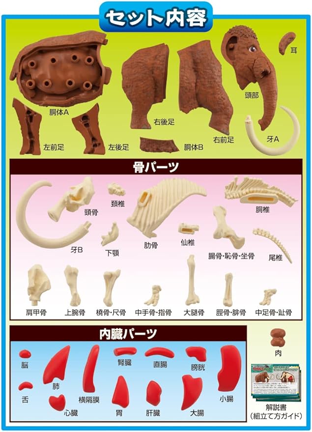 Rompecabezas de mamut