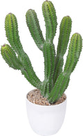 Cactus artificial de 16 pulgadas, plantas suculentas falsas para decoración de interiores y exteriores