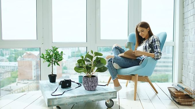 AlphaAcc Plantas Artificiales de Aspecto y Tacto Realista Planta Falsa de Higuera de Hoja de Violín de Plástico Perenne con Maceta de Cemento Negro Rústico para Decoración de Inauguración de Casa