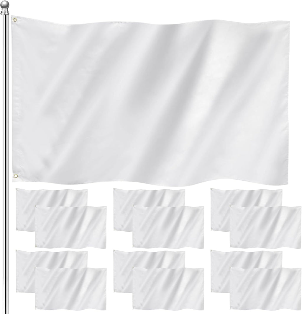 Boao Set de 12 Banderas Lisas Blancas de 90x150 cm | Banderas en Blanco para DIY | Poliester con Doble Costura y Ojales | Decoracion de Jardin y Patio | Blanco