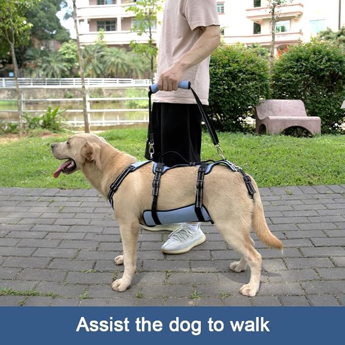 Arnés de elevación para perros Coodeo, soporte completo del cuerpo y correa de recuperación, chaleco de elevación para rehabilitación de mascotas para perros mayores con artritis para caminar (Azul)