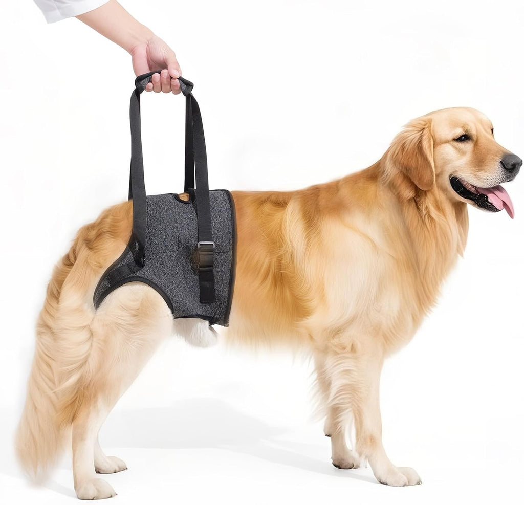 Arnés acolchado suave ajustable para patas traseras para perros grandes, para patas traseras débiles, lesionadas o discapacitadas, ayuda a apoyar a perros mayores, artriticos y con discapacidad de movilidad (XL)