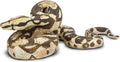Safari Ltd. Figura de Boa Constrictor | Serpiente Realista de 6 pulgadas | Juguete Educativo para Ninos y Ninas de 3 Anos en Adelante