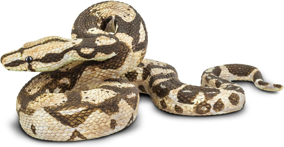Safari Ltd. Figura de Boa Constrictor | Serpiente Realista de 6 pulgadas | Juguete Educativo para Ninos y Ninas de 3 Anos en Adelante