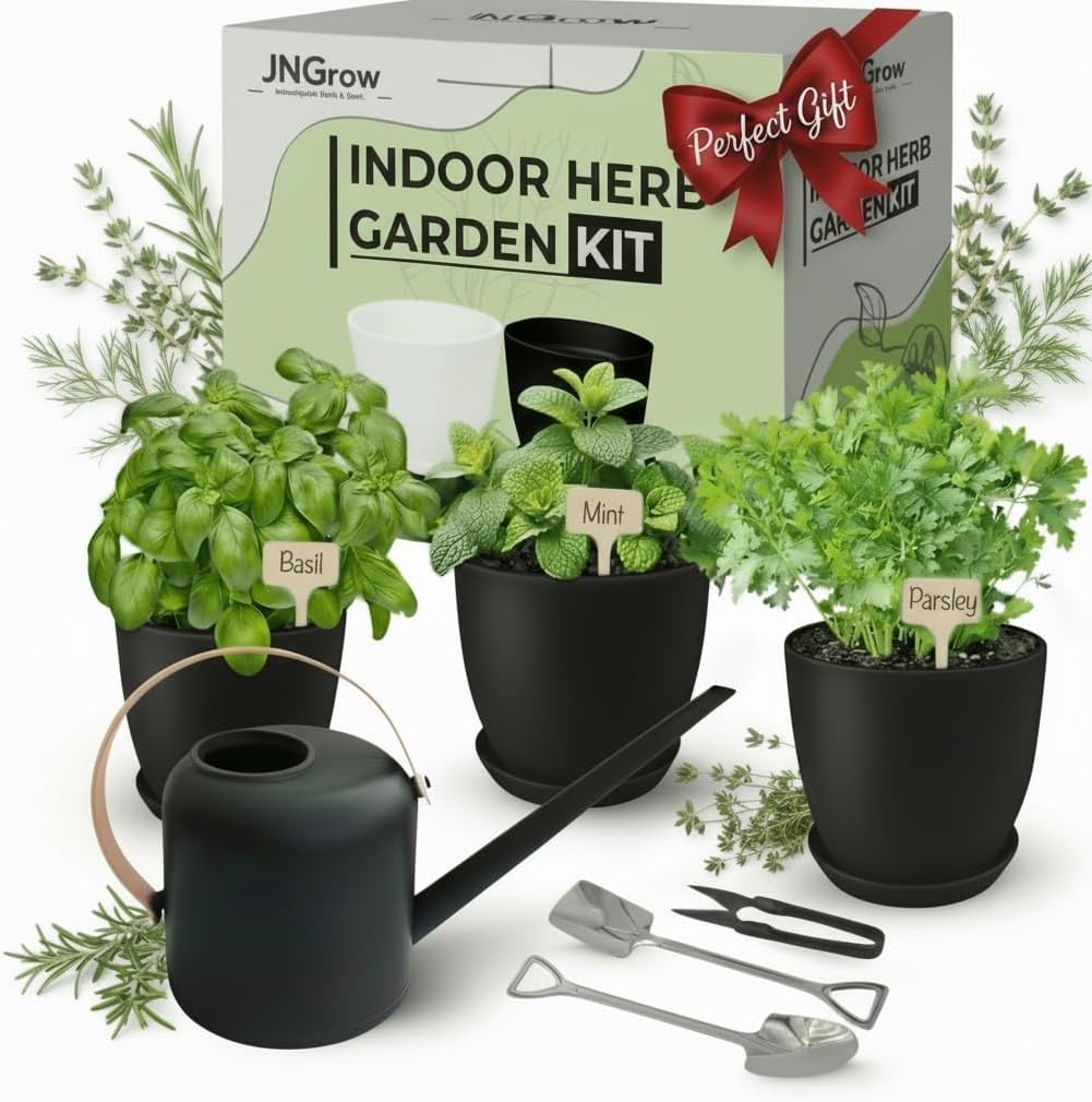 Kit de jardinería de interior JNGROW: macetas con drenaje, regadera y herramientas. Ideal para colocar en el alféizar de la ventana. Regalo moderno para el hogar y la cocina. Color negro.