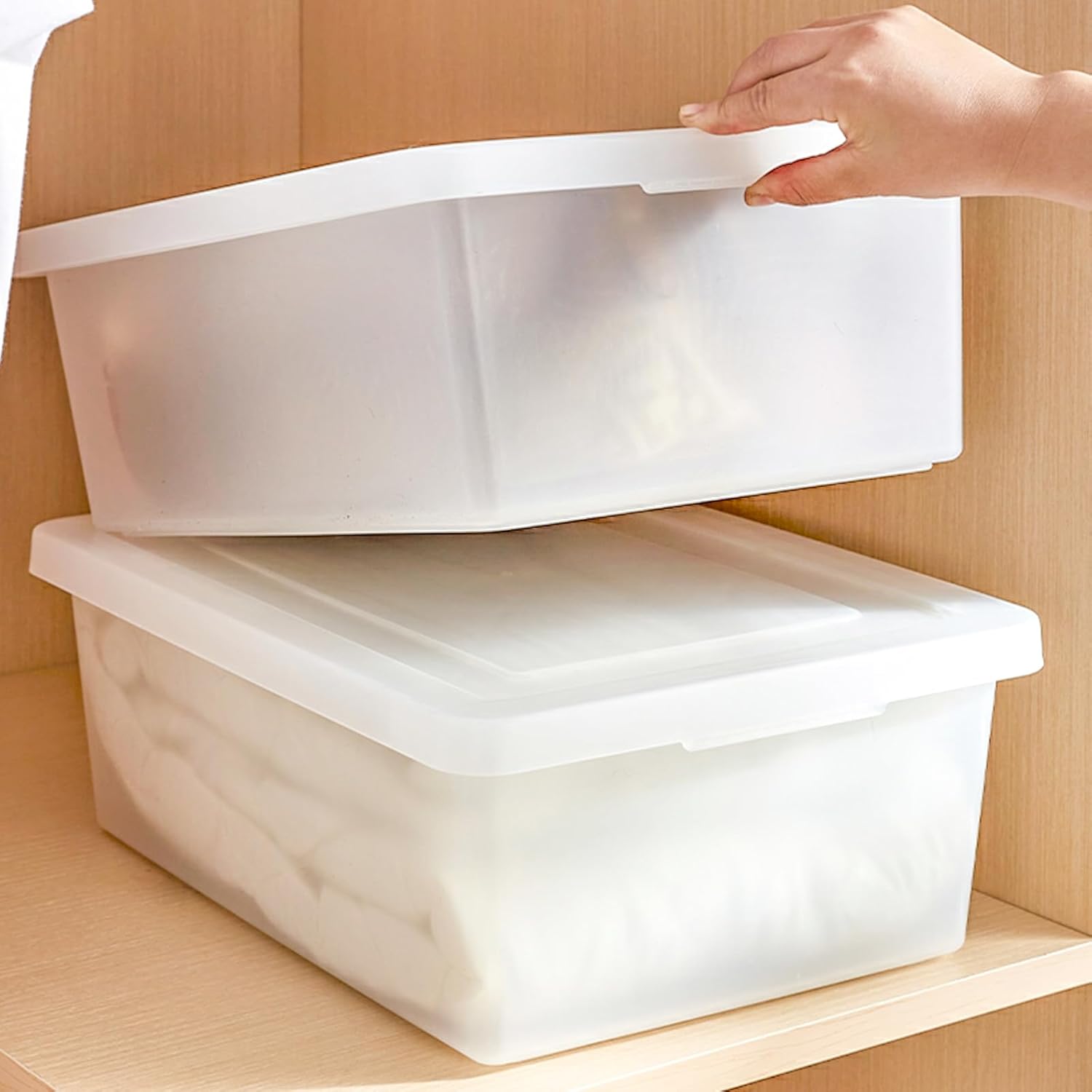 Sgoostood 15 Quart Stackable Plastic Storage Bins with Lids,Container to Organize Shoes and Crafts on Closet Shelves,Garage, Totes, Tubs Boxes Organizing 2 Pack (N-2L)