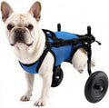 Nylvian Silla de Ruedas para Perros Patas Traseras | Carro de Movilidad Ligero y Ajustable para Perros Mayores (M)