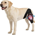 Rodillera para Perros Noorace – Soporte Ajustable para Ligamento Cruzado, Artritis y Recuperación de Lesiones en Patas Traseras