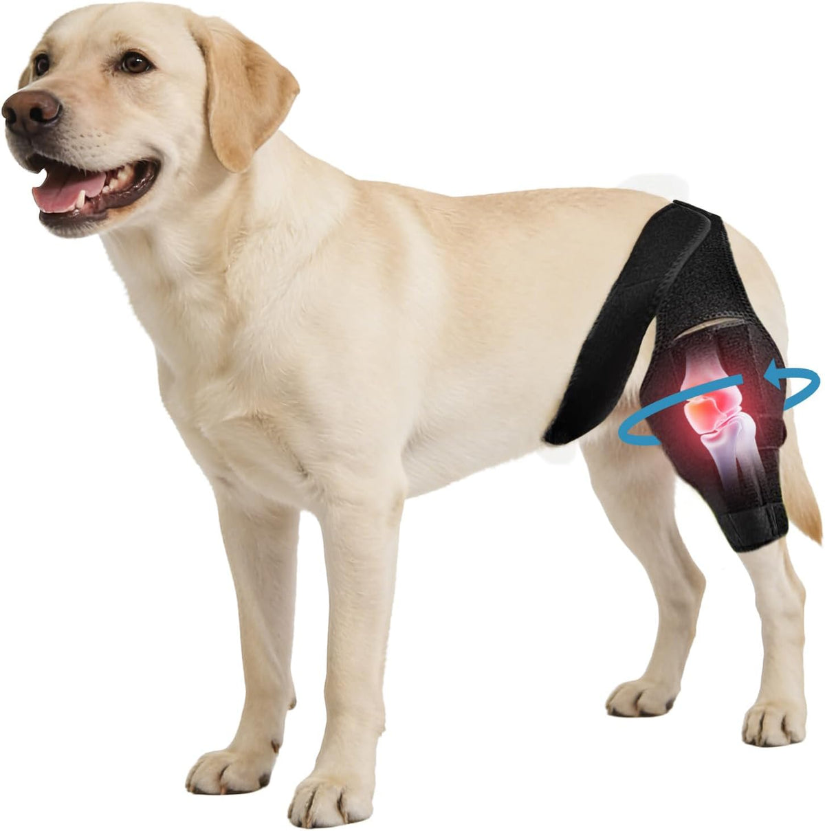 Rodillera para Perros Noorace – Soporte Ajustable para Ligamento Cruzado, Artritis y Recuperación de Lesiones en Patas Traseras