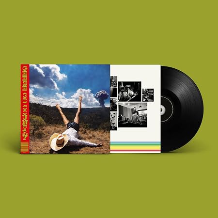 Usado: disco de vinilo de Cameron Winter