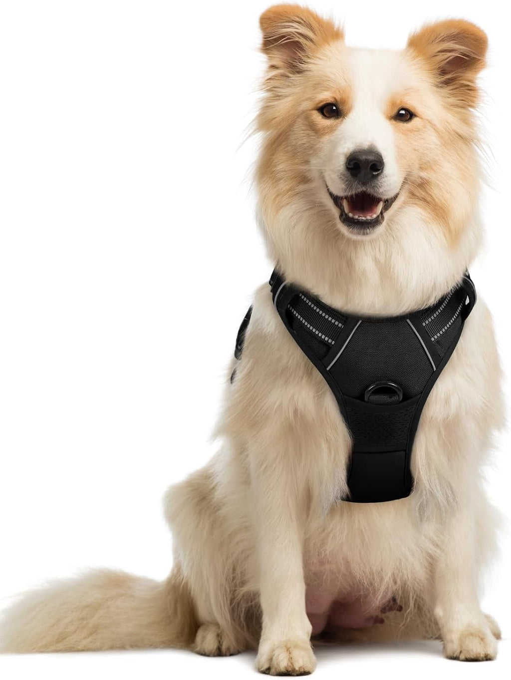 Arnés para Perro Rabbitgoo Antitirones Talla Mediana – Reflectante, Acolchado, con Mango y 2 Clips | Negro