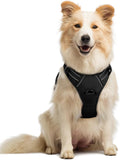 Arnés para Perro Rabbitgoo Antitirones Talla Mediana – Reflectante, Acolchado, con Mango y 2 Clips | Negro