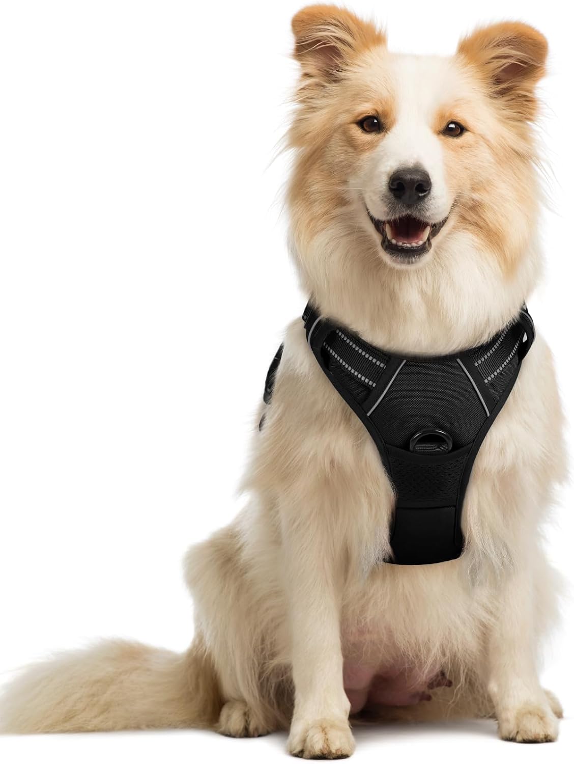 Arnés para Perro Rabbitgoo Antitirones Talla Mediana – Reflectante, Acolchado, con Mango y 2 Clips | Negro