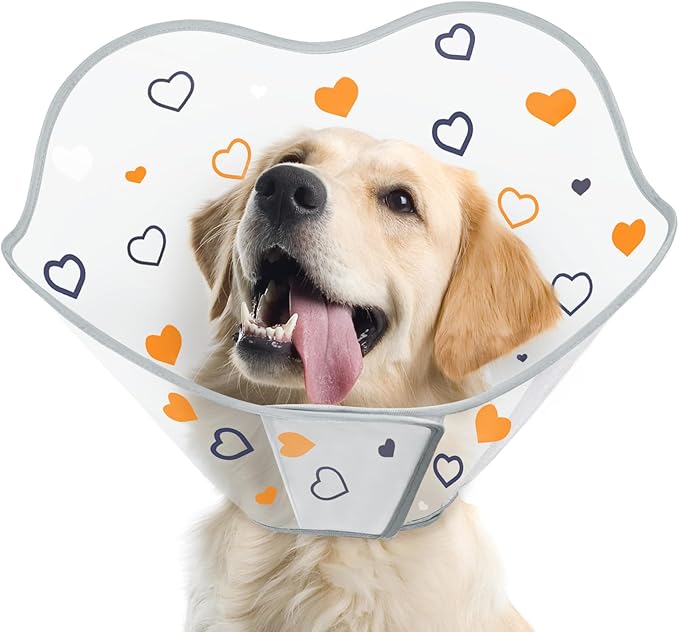 Cono Isabelino Suave para Perros | Talla XS | Postcirugía | PVC Impermeable