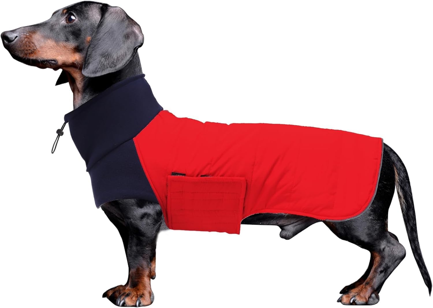 Chaqueta de abrigo para perro salchicha, ideal para perros salchicha, Corgi, Weiner, reversible, de invierno, con forro acolchado de algodón y cuello alto, ideal para otoño e invierno, color rojo, talla S 
