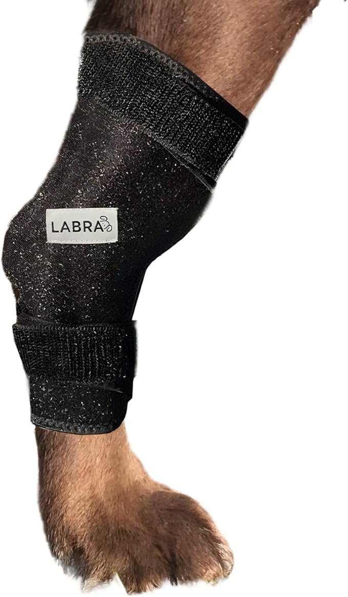 Labra – Compresa de Compresión Frío/Calor para Perros | Alivio Artritis y Dolor en Articulaciones | Aprobado por Veterinarios | NOTA IMPORTANTE: SOLO INCLUYE 1 PROTECTOR, ES PARA RAZAS PEQUEÑAS