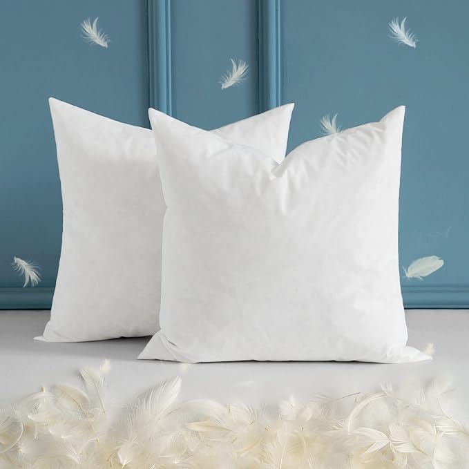 MIULEE Paquete de 2 rellenos de almohada de 20 x 20 pulgadas, plumón con almohadas de tela de algodón