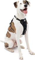 Arnes de Auto para Perro Kurgo Tru-Fit Reforzado | Certificado en Pruebas de Choque | 5 Puntos de Ajuste, Hebilla Segura y Pecho Acolchado | Negro Mediano