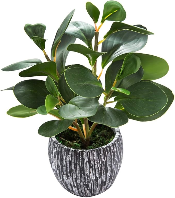 AlphaAcc Plantas Artificiales de Aspecto y Tacto Realista Planta Falsa de Higuera de Hoja de Violín de Plástico Perenne con Maceta de Cemento Negro Rústico para Decoración de Inauguración de Casa